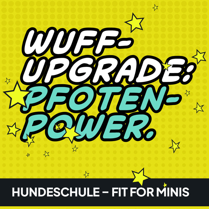 Hunde-Privatstunde zu Hause oder im Wald.