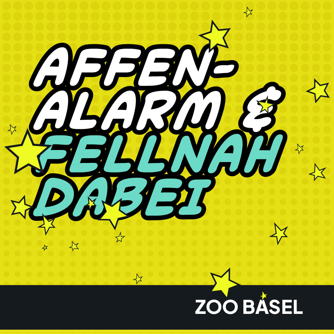 Backstage im Zolli: Tierisch nah dran.